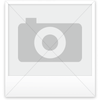 Bild 1 von Still R70-16T bis 20G  Treibgas (Typ 7077-7079)  / (Artikelart) Werkstatthandbuch